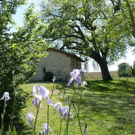 Semesterbostad La Au Coeur Des Vignes